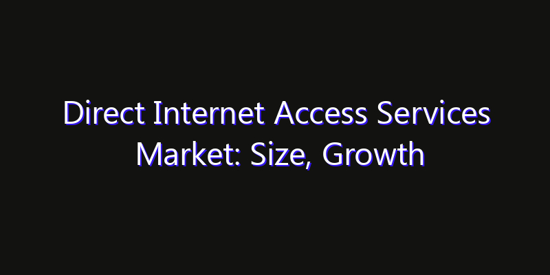 Direct Internet Access Services Market: Size, Growth Forecasts & Key Players Strategy Report 2026