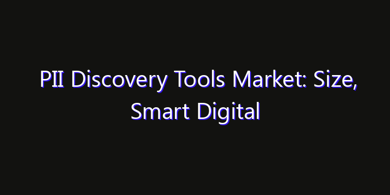 PII Discovery Tools Market: Size, Smart Digital Solutions & Growth Outlook 2026