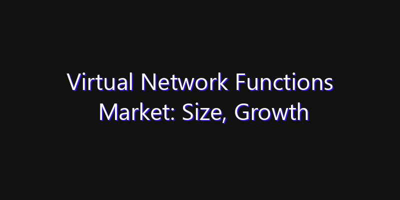 Virtual Network Functions Market: Size, Growth Drivers, Opportunities & Forecast 2026–2033